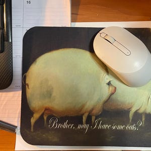 ¿El hermano querría un poco de - Gaming Accessories To Have reseña y precio